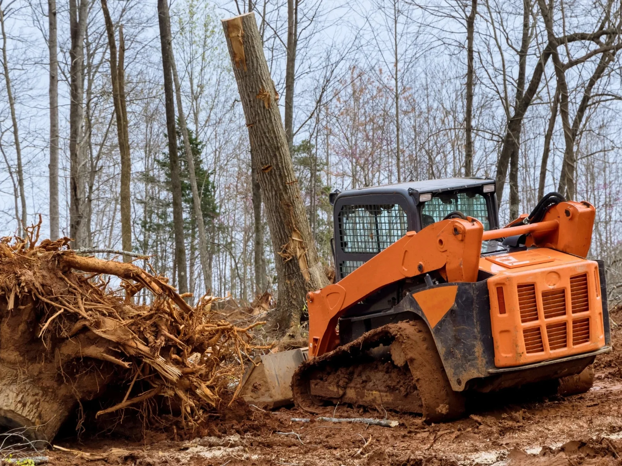 skid steer clearing trees and debris during a forestry and land clearing job in mississippi.